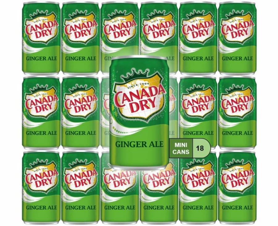 WEST END FOODS LANCASTER Ginger Ale Mini Cans, 7.5 Oz (18 Pack) - Refreshing Soft Drinks for Pantry, Fridge & Parties