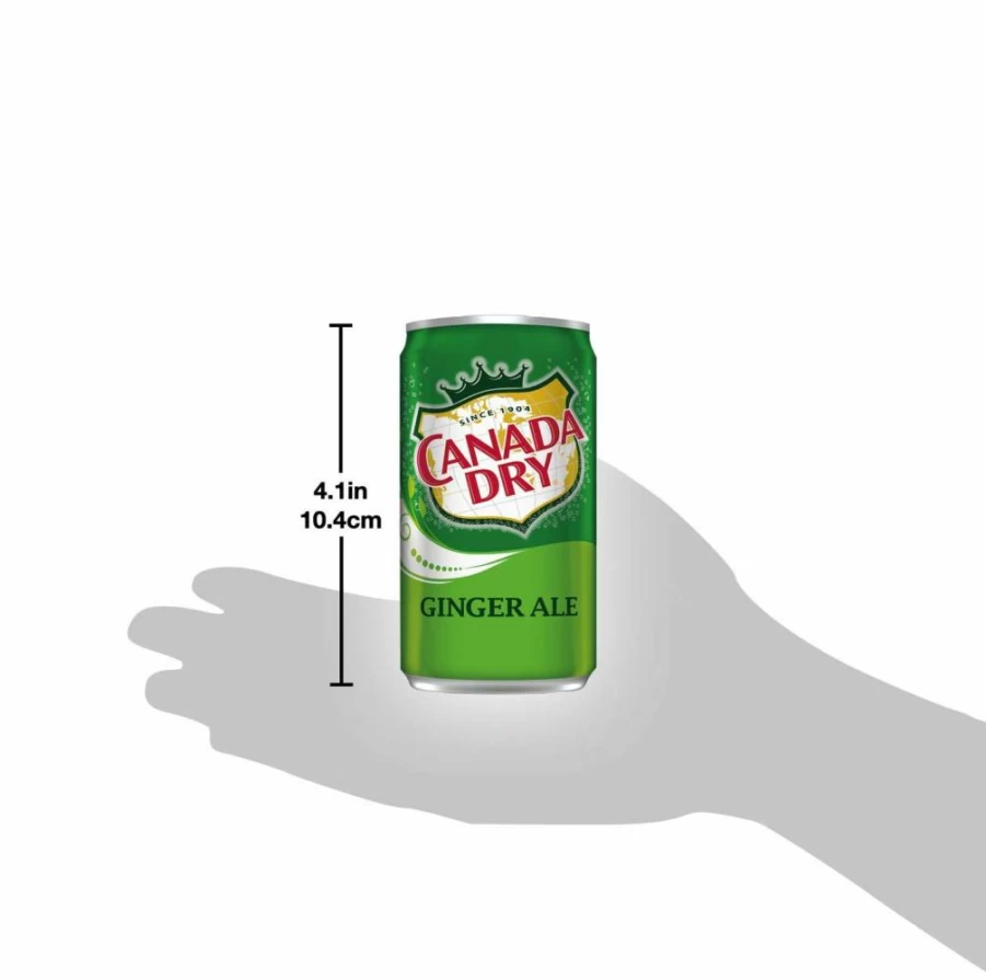 GREAT BRITISH TRADING LIMITED Ginger Ale Mini Cans, 7.5 Oz (12 Pack) – Refreshing Soft Drink for Pantry, Fridge & Snack Time