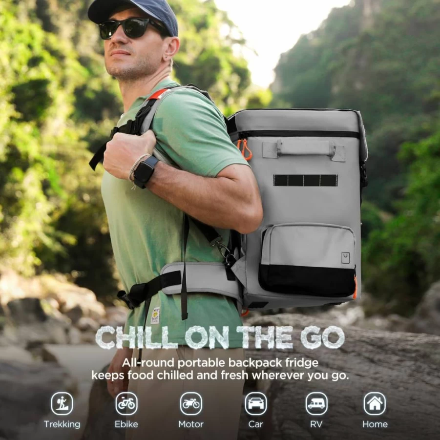 LiTHELi 12V/24V Portable Car Refrigerator 20L Electric Cooler, -4°F to 68°F, 55W DC/AC Powered Freezer for Camping, Road Trips, RV, EBike with Rechargeable Battery (Beige)